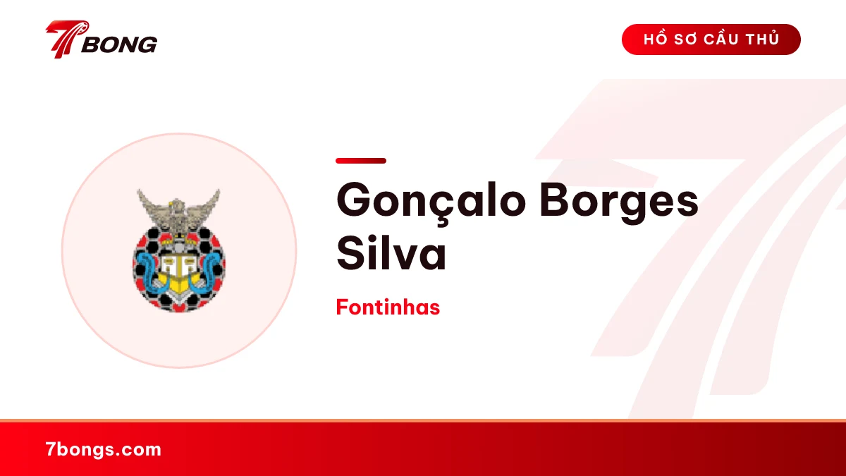 Gonçalo Borges Silva — Fontinhas