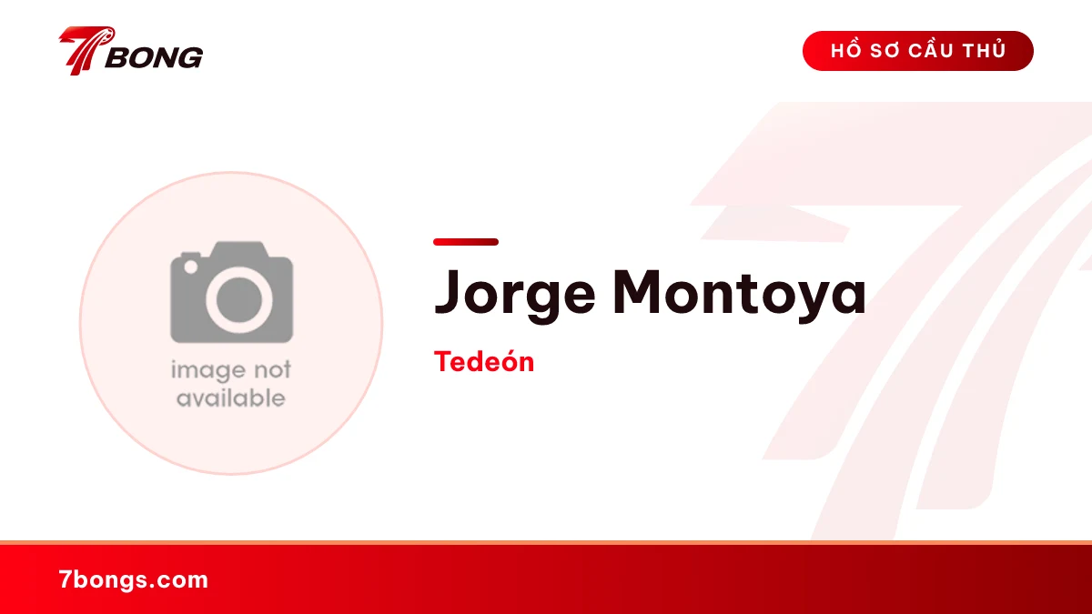 Jorge Montoya — Tedeón