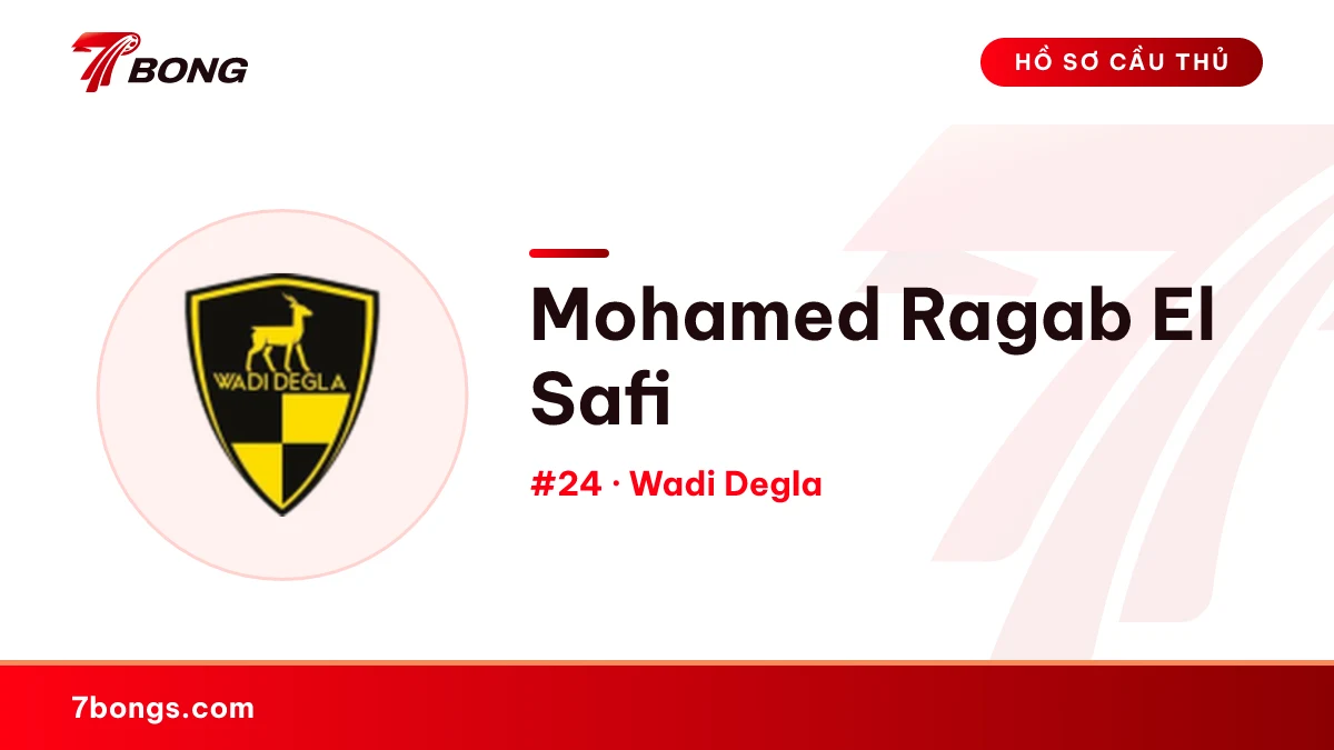 Mohamed Ragab El Safi — Wadi Degla