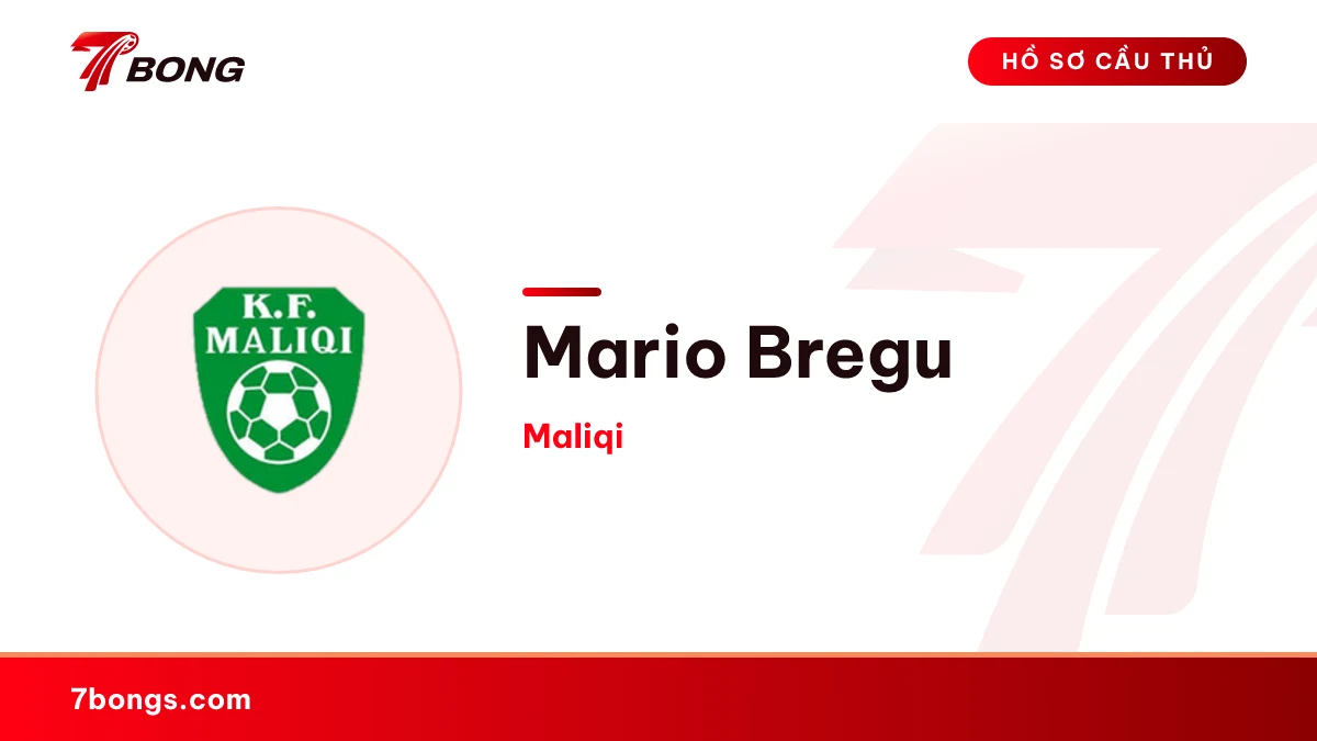 Mario Bregu — Maliqi