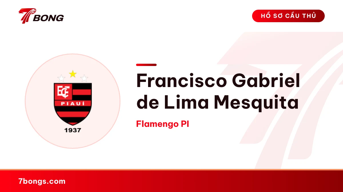 Francisco Gabriel de Lima Mesquita — Flamengo PI