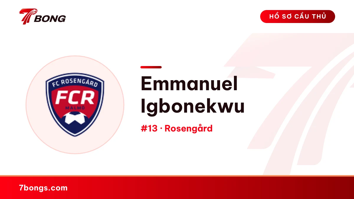 Emmanuel Igbonekwu — Rosengård