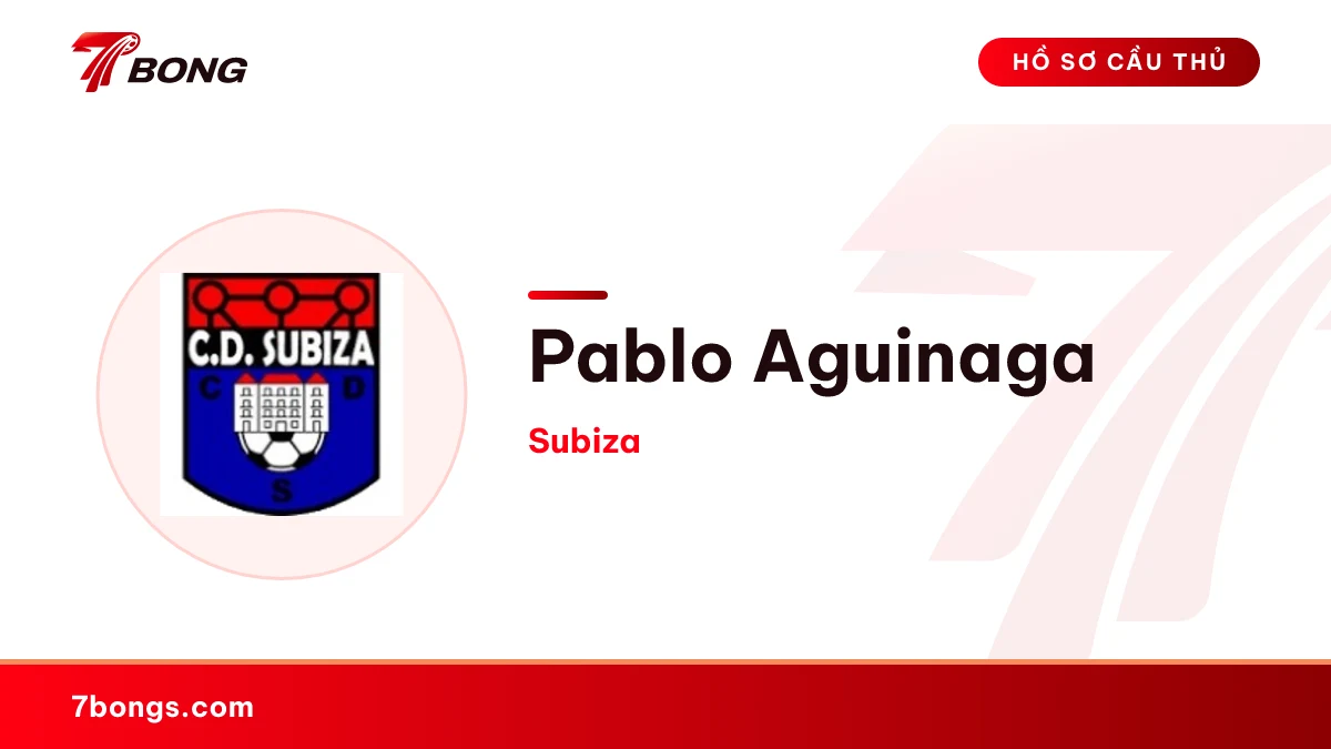 Pablo Aguinaga — Subiza