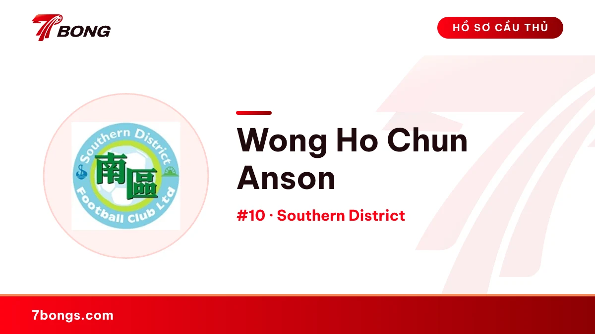 Wong Ho Chun Anson — Southern District