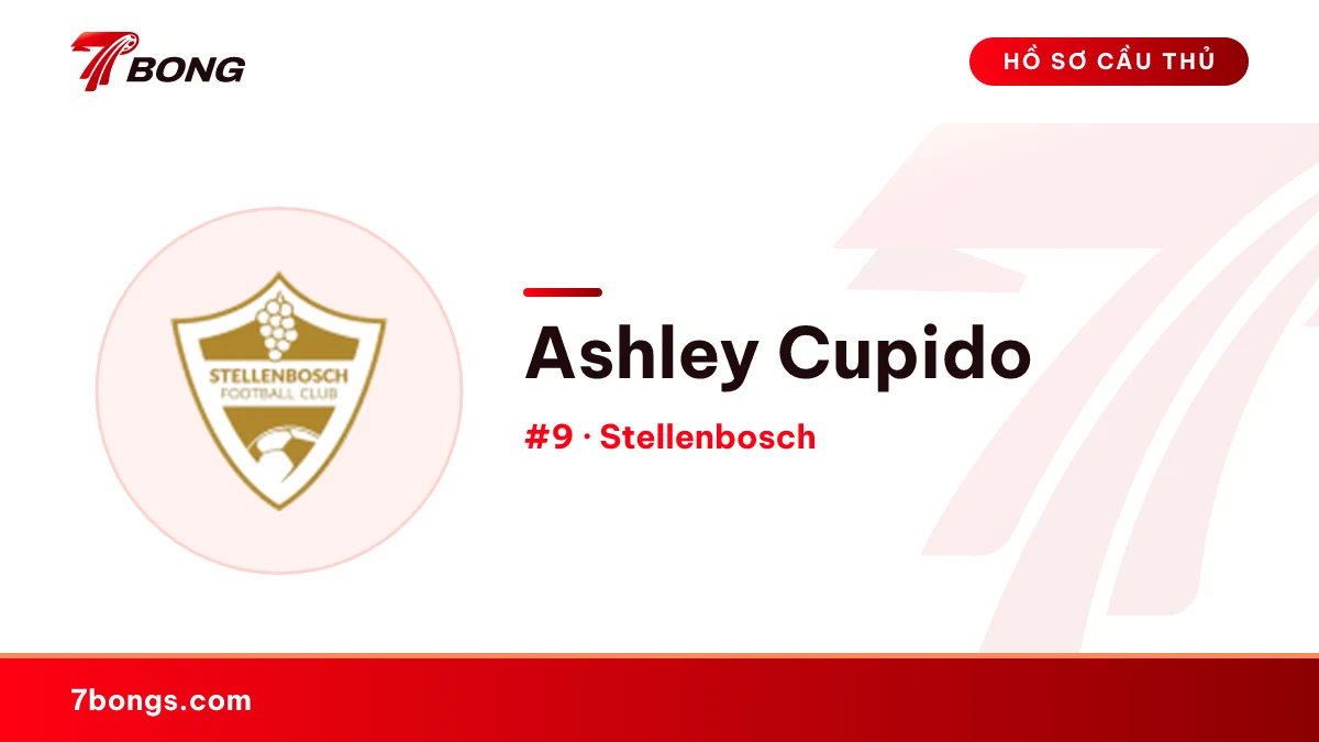 Ashley Cupido — Stellenbosch