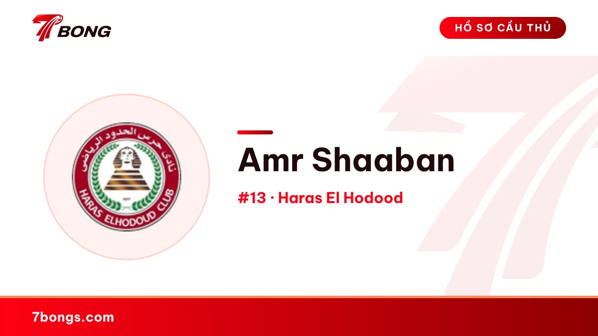 Amr Shaaban — Haras El Hodood