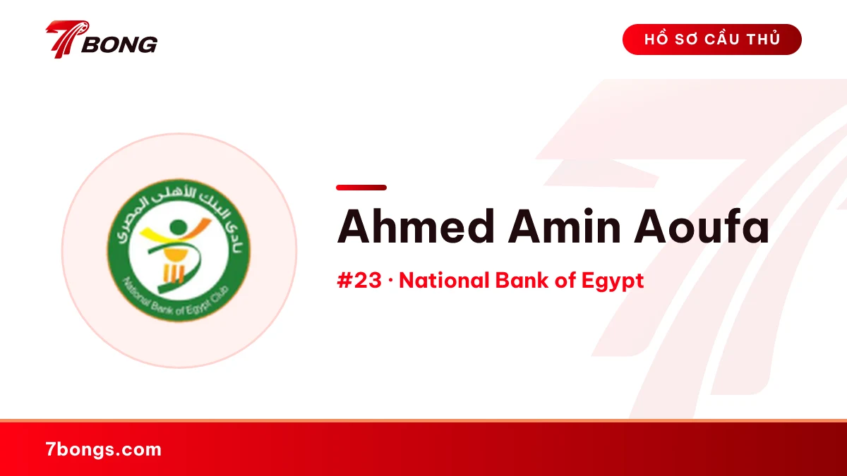 Ahmed Amin Aoufa — National Bank of Egypt
