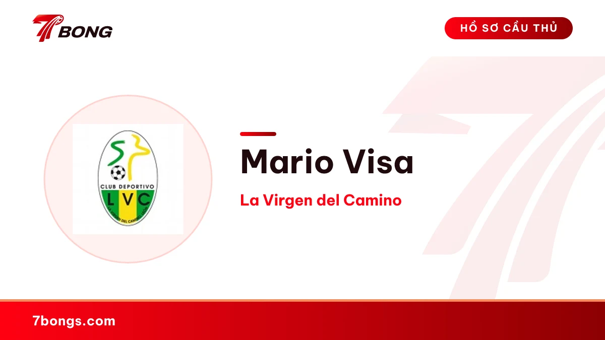 Mario Visa — La Virgen del Camino