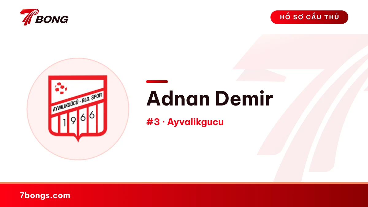 Adnan Demir — Ayvalikgucu