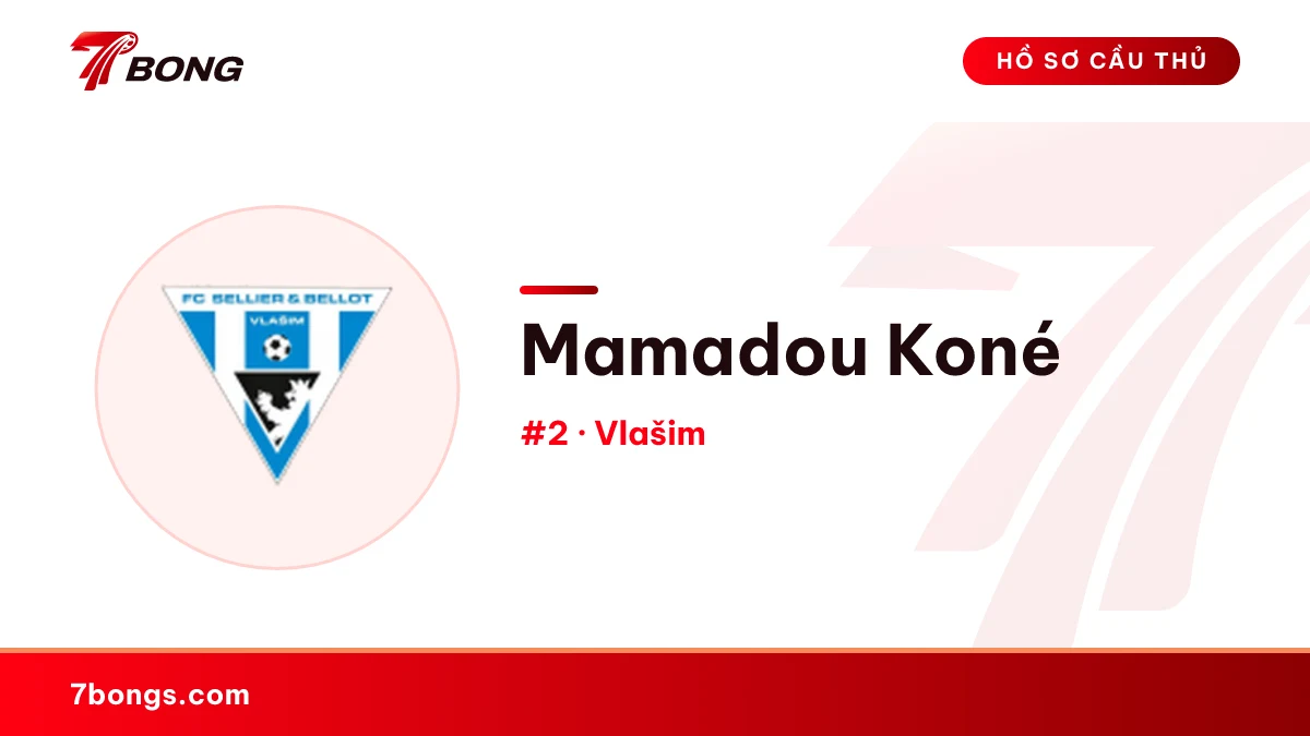 Mamadou Koné — Vlašim