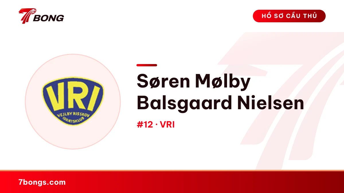 Søren Mølby Balsgaard Nielsen — VRI
