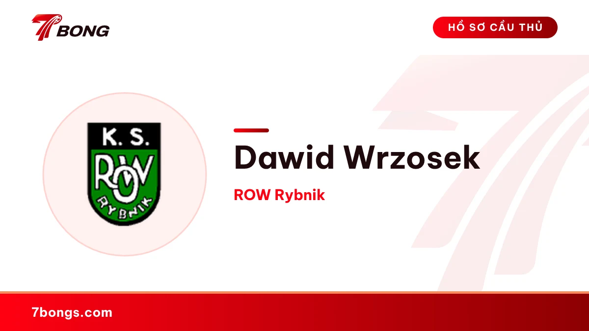 Dawid Wrzosek — ROW Rybnik