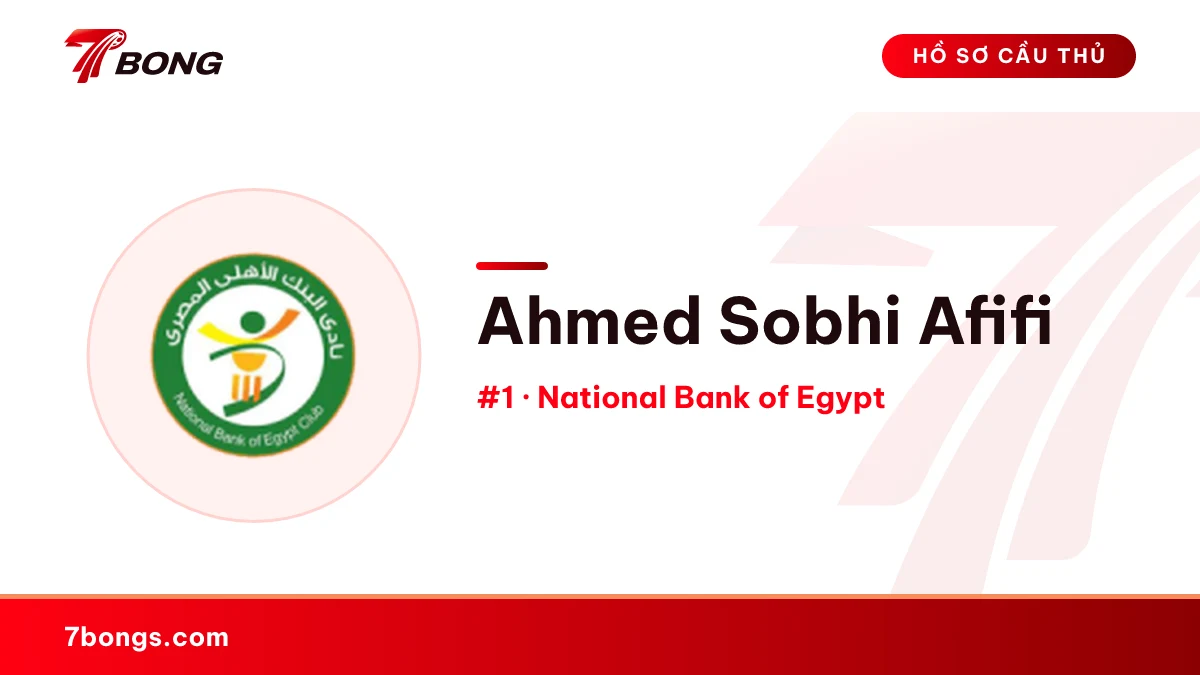 Ahmed Sobhi Afifi — National Bank of Egypt