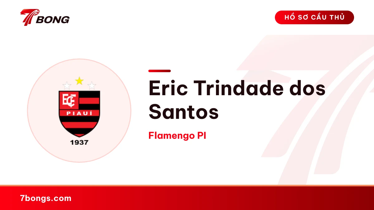 Eric Trindade dos Santos — Flamengo PI