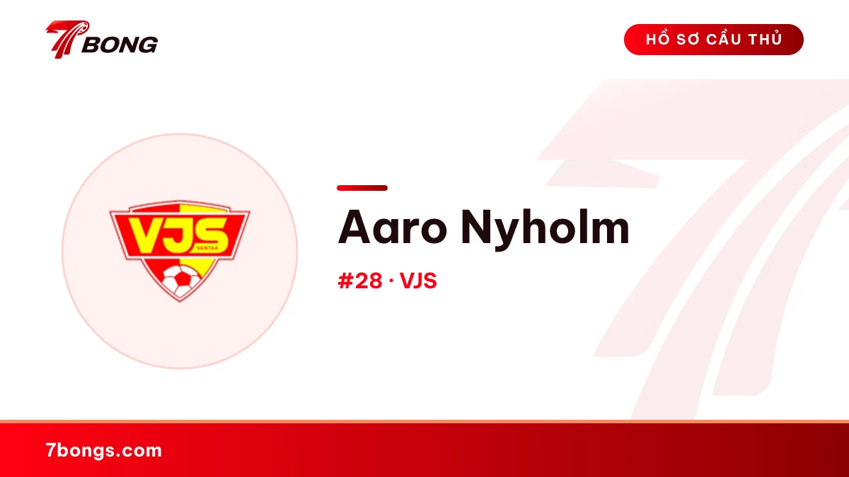 Aaro Nyholm — VJS