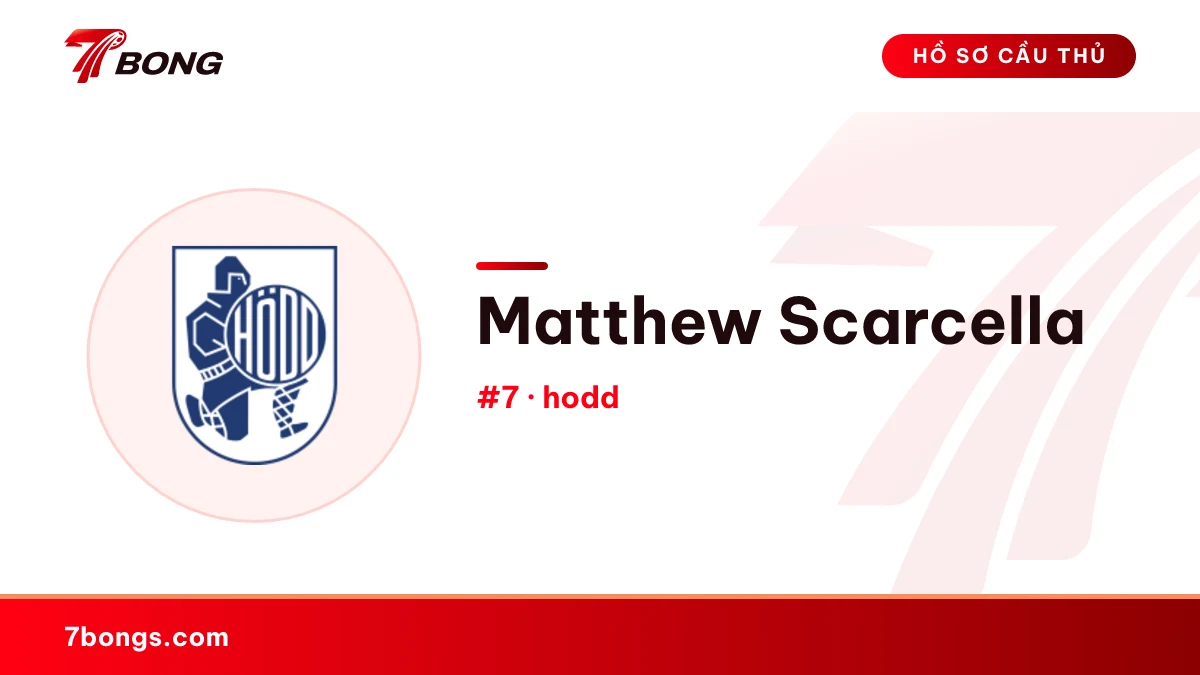 Matthew Scarcella — hodd
