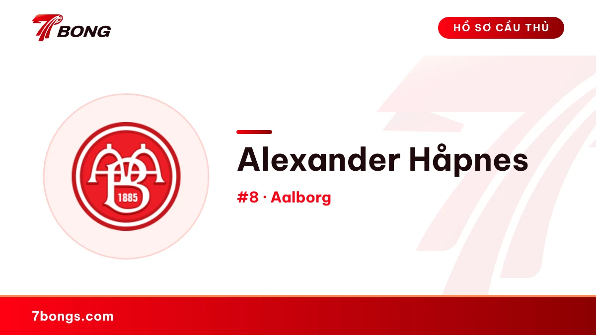 Alexander Håpnes — Aalborg