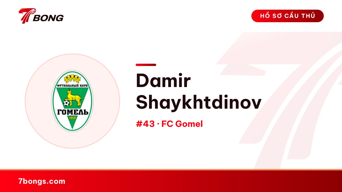 Damir Shaykhtdinov — FC Gomel