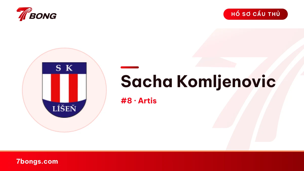Sacha Komljenovic — Artis