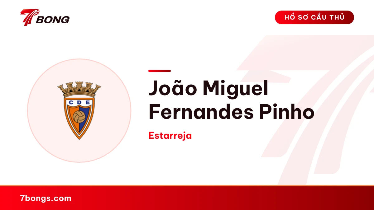 João Miguel  Fernandes Pinho — Estarreja