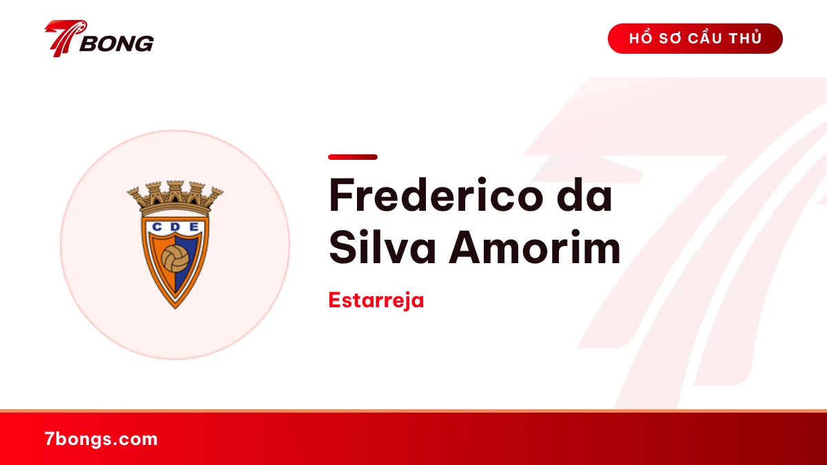 Frederico da Silva Amorim — Estarreja