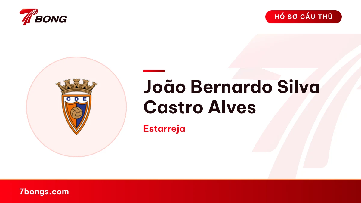 João Bernardo Silva Castro Alves — Estarreja