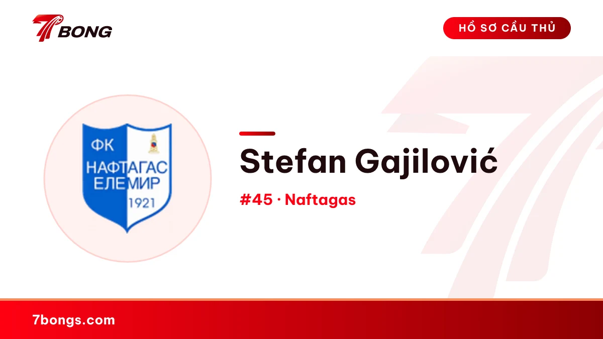 Stefan Gajilović — Naftagas