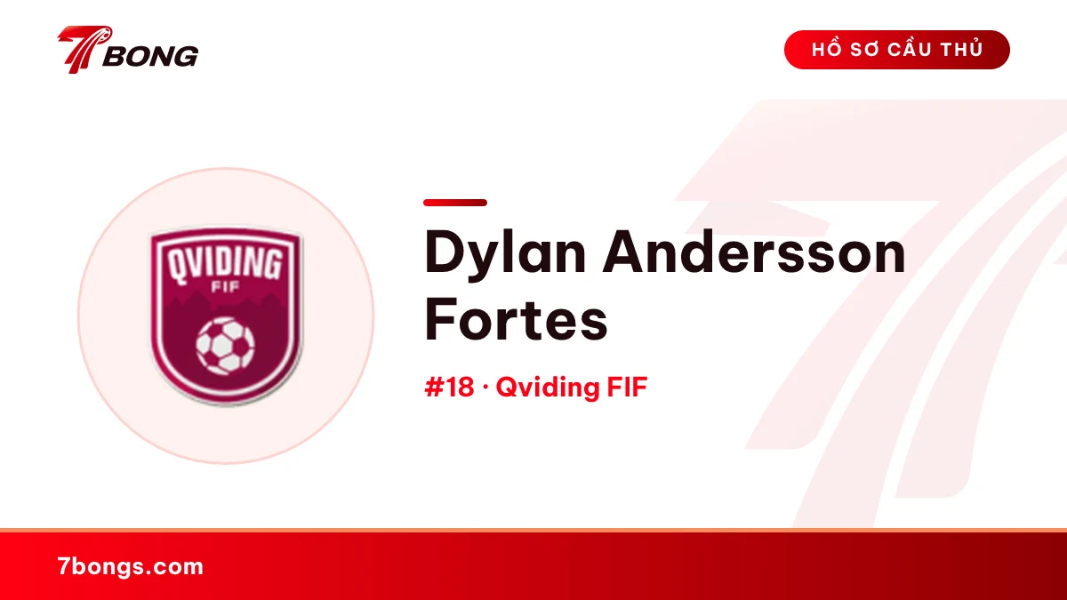 Dylan Andersson Fortes — Qviding FIF