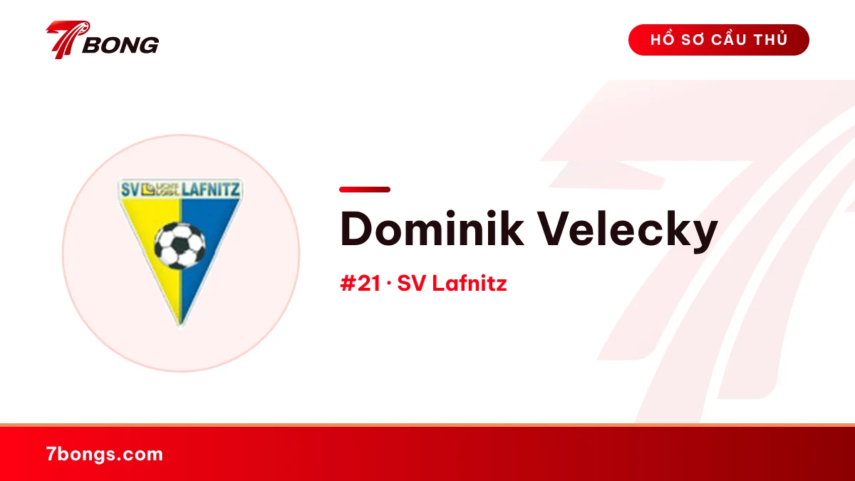 Dominik Velecky — SV Lafnitz