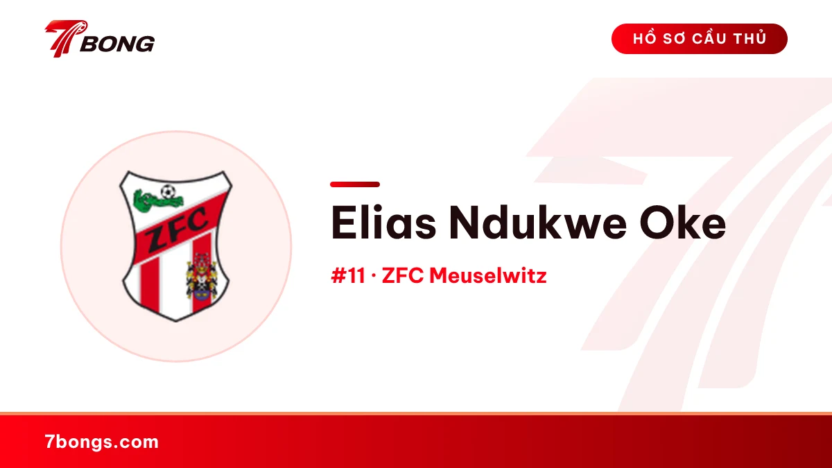 Elias Ndukwe Oke — ZFC Meuselwitz