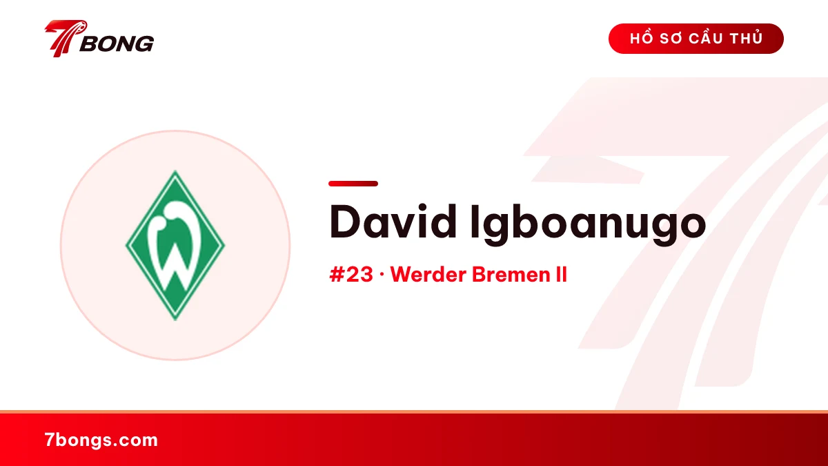 David Igboanugo — Werder Bremen II