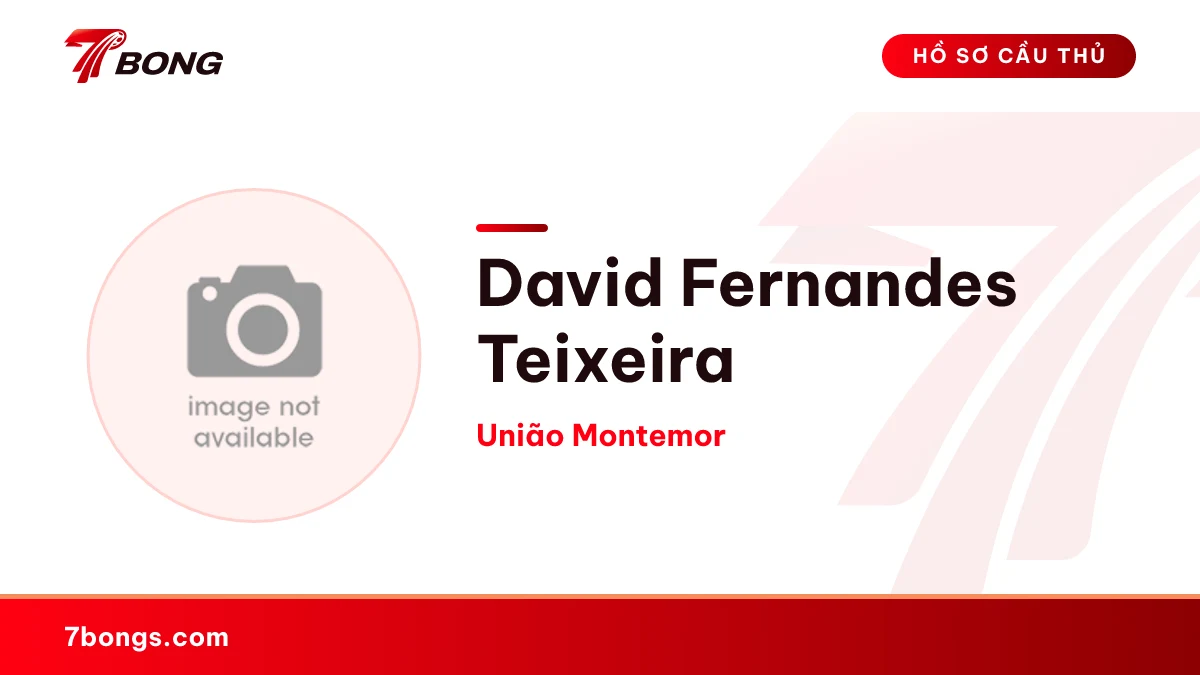 David  Fernandes Teixeira — União Montemor