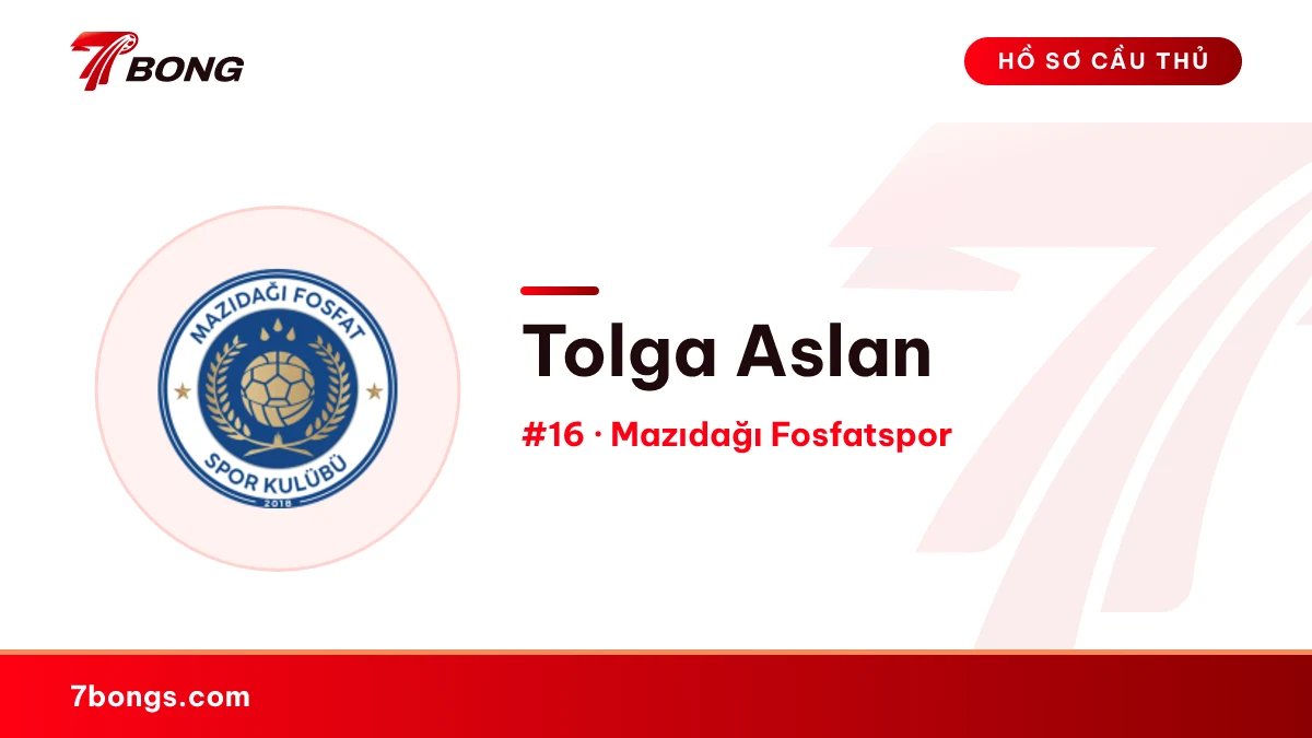 Tolga Aslan — Mazıdağı Fosfatspor