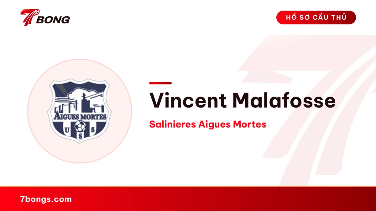 Vincent Malafosse — Salinieres Aigues Mortes