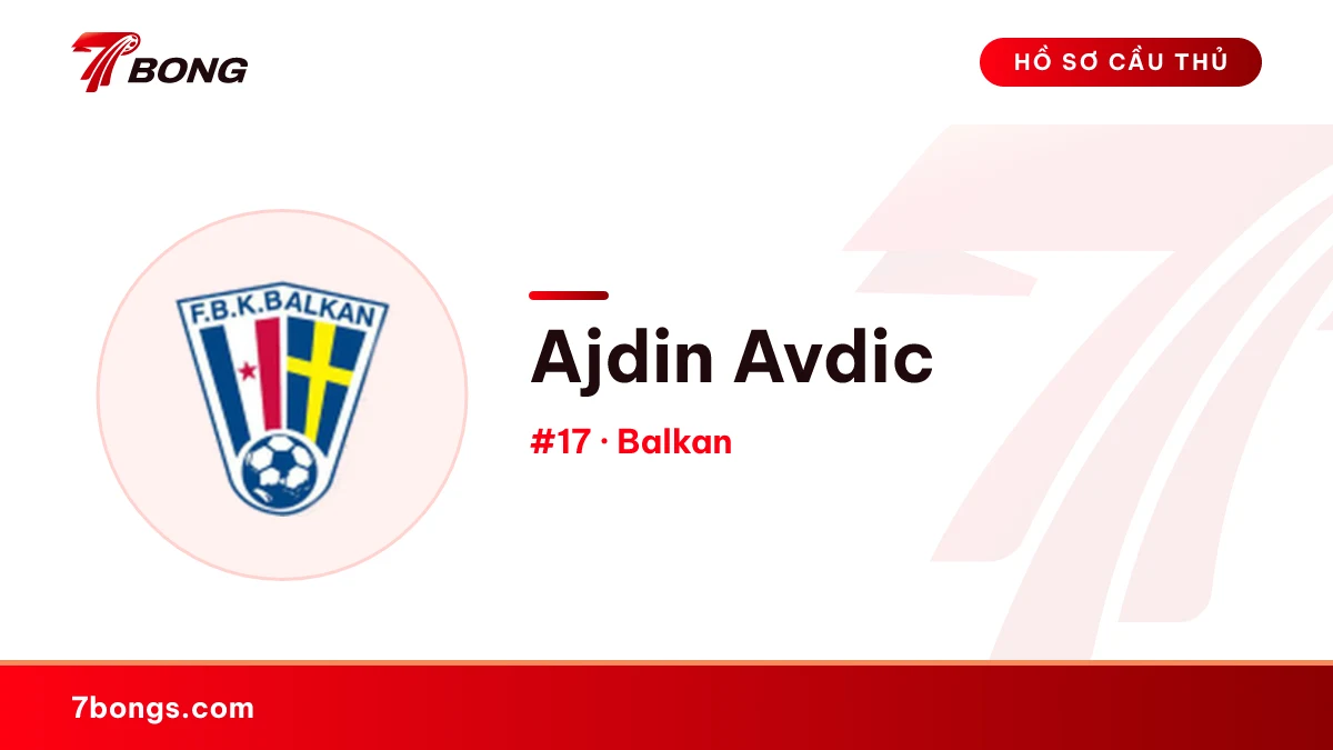 Ajdin Avdic — Balkan