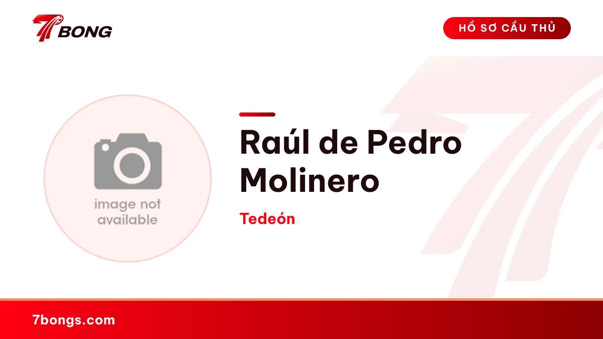 Raúl de Pedro Molinero — Tedeón