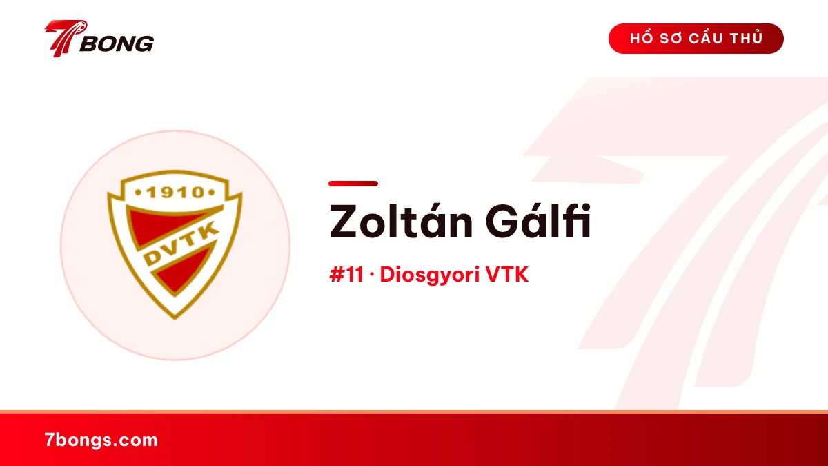 Zoltán Gálfi — Diosgyori VTK