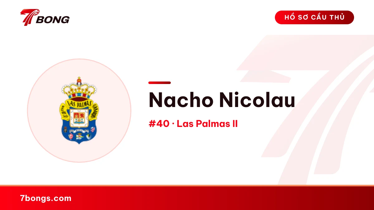 Nacho Nicolau — Las Palmas II