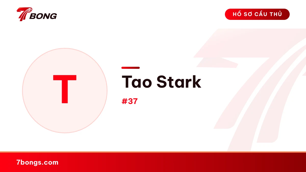 Tao Stark