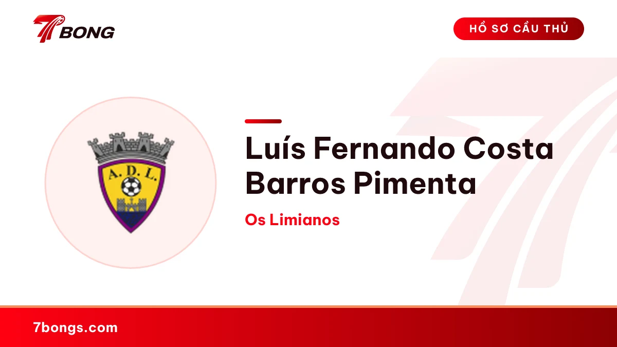 Luís Fernando Costa Barros Pimenta — Os Limianos