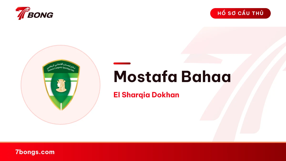 Mostafa Bahaa — El Sharqia Dokhan