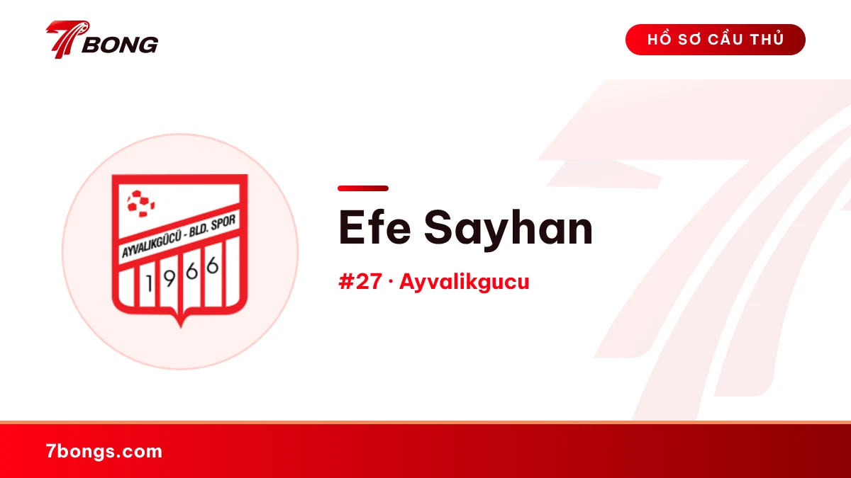 Efe Sayhan — Ayvalikgucu