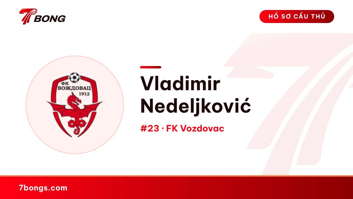 Vladimir Nedeljković — FK Vozdovac
