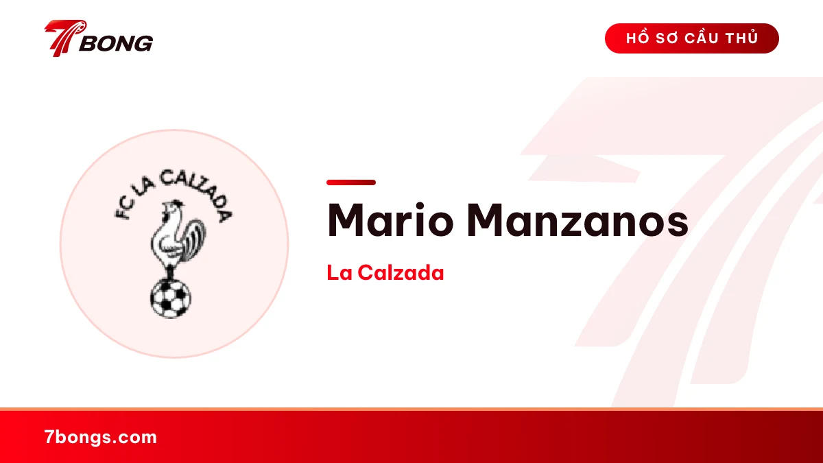 Mario Manzanos — La Calzada