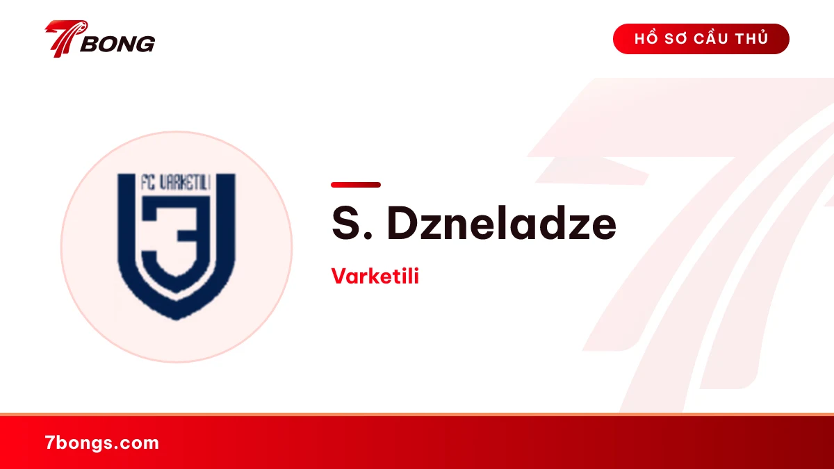 S. Dzneladze — Varketili