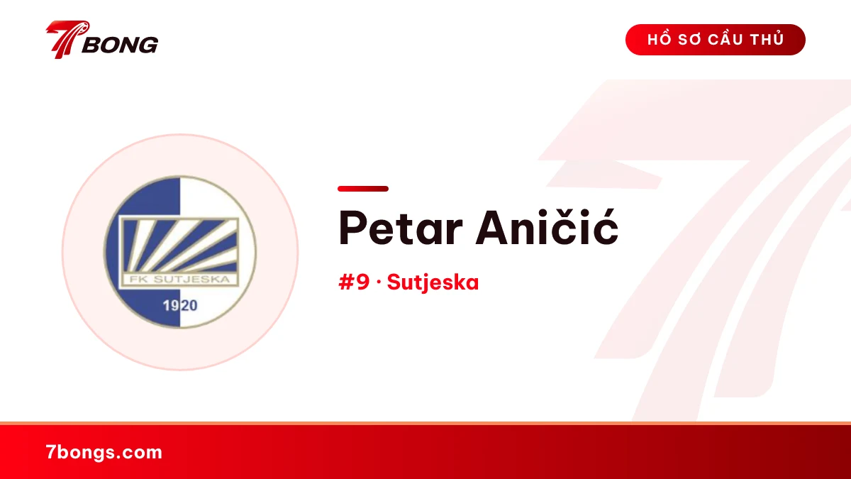 Petar Aničić — Sutjeska