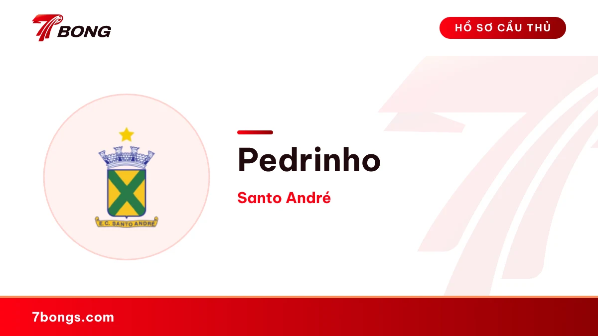 Pedrinho — Santo André