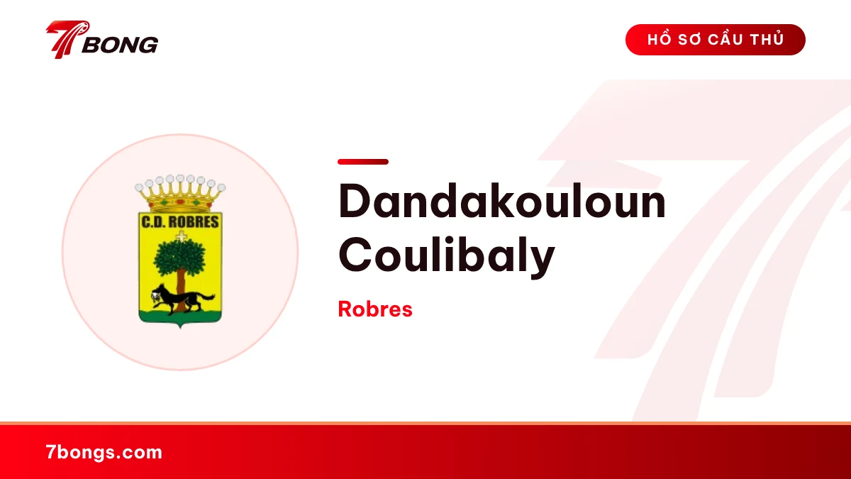 Dandakouloun Coulibaly — Robres