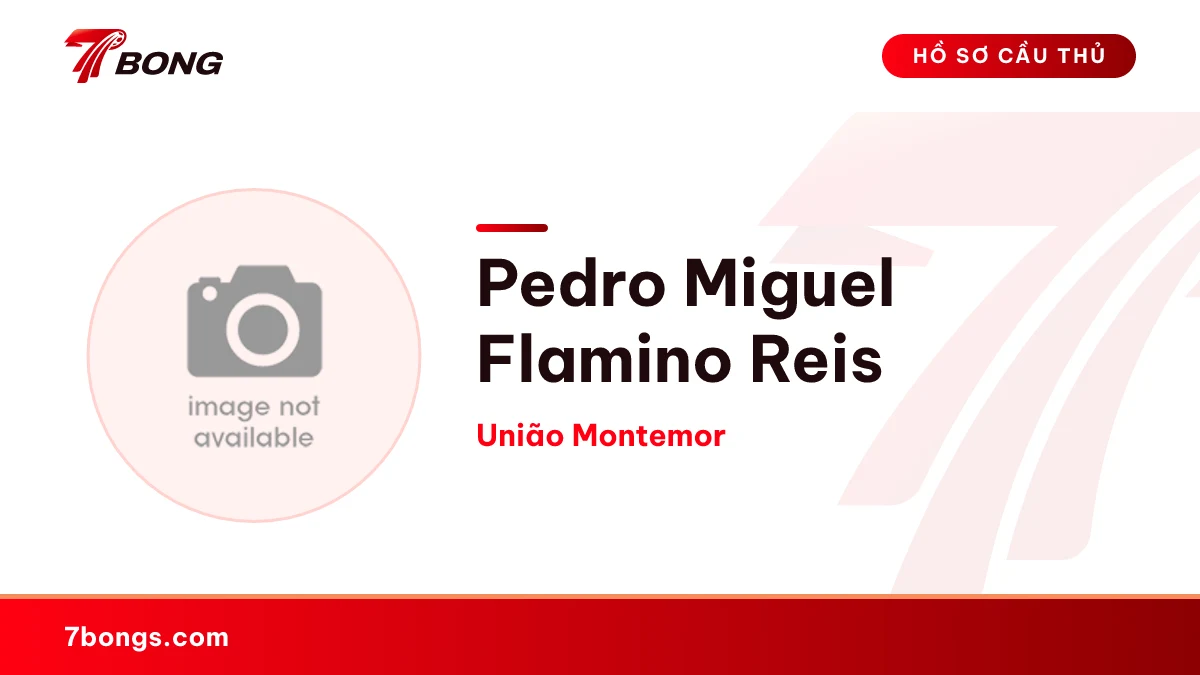 Pedro Miguel Flamino Reis — União Montemor