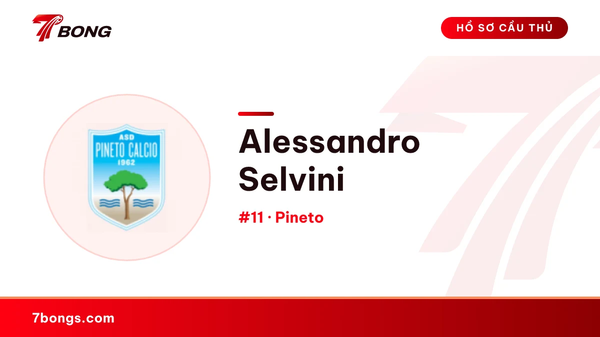 Alessandro Selvini — Pineto